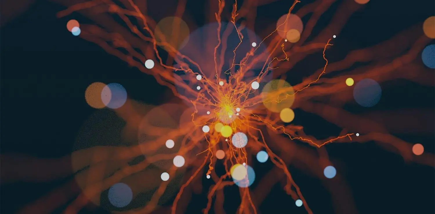Usar la inteligencia artificial en la vida diaria - Come funzionano le intelligenze artificiali usare le inteligencia - Come funzionano le intelligenze artificiali
