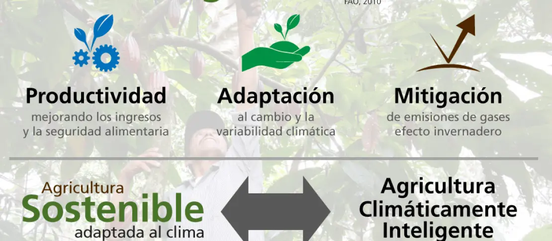 Agronomía Climáticamente Inteligente: Por qué nos interesa - Cómo afecta el cambio climático en la agricultura agronomia climaticamente inteligente por que nos interesa - Cómo afecta el cambio climático en la agricultura