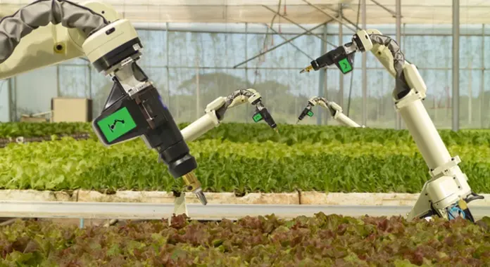 inteligencia artificial en la agricultura - Cómo afecta la inteligencia artificial a la agricultura