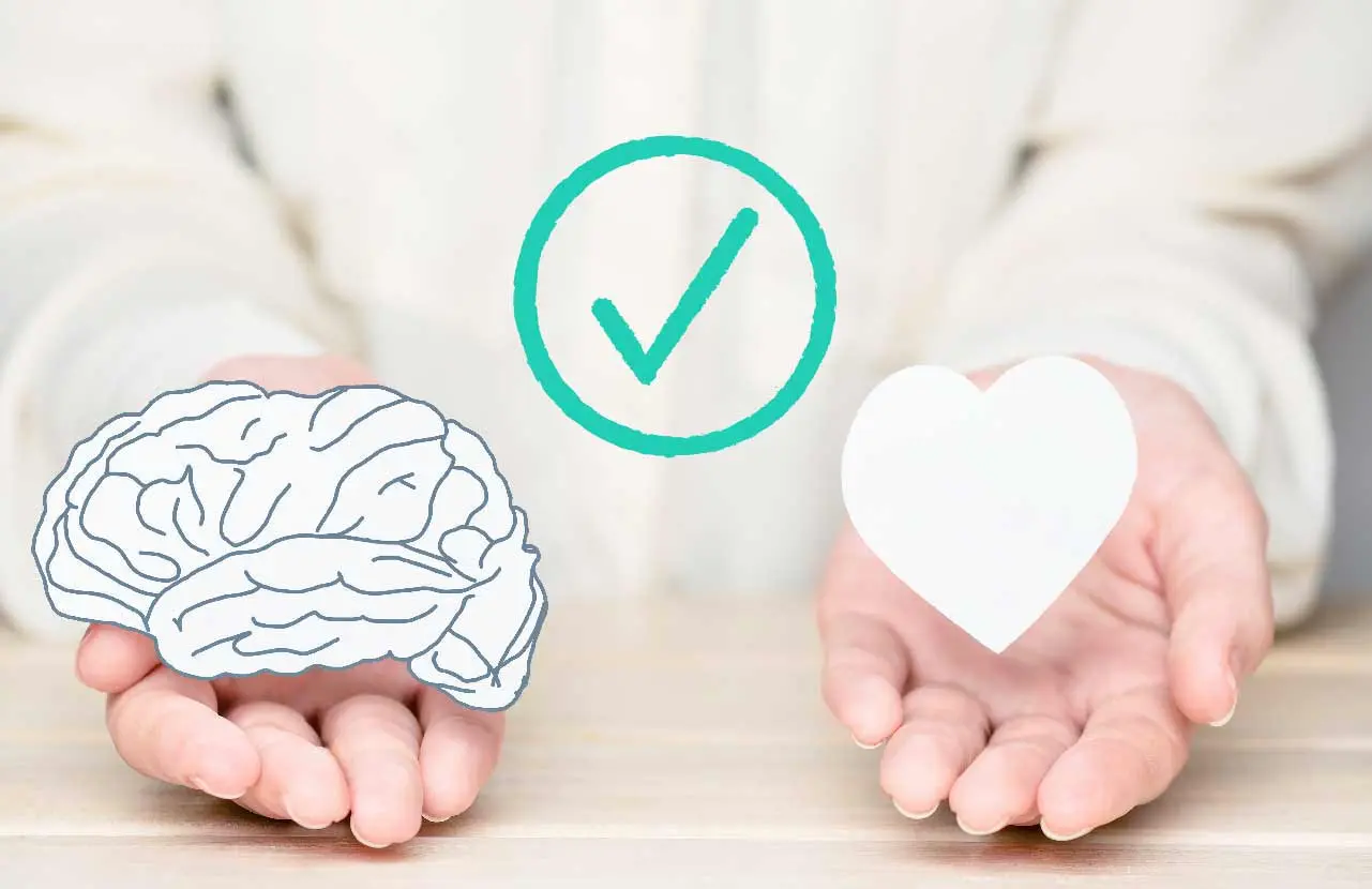 Alimentar la inteligencia: el camino hacia el crecimiento personal - Cómo alimentar mi inteligencia alimentar la inteligencia - Cómo alimentar mi inteligencia