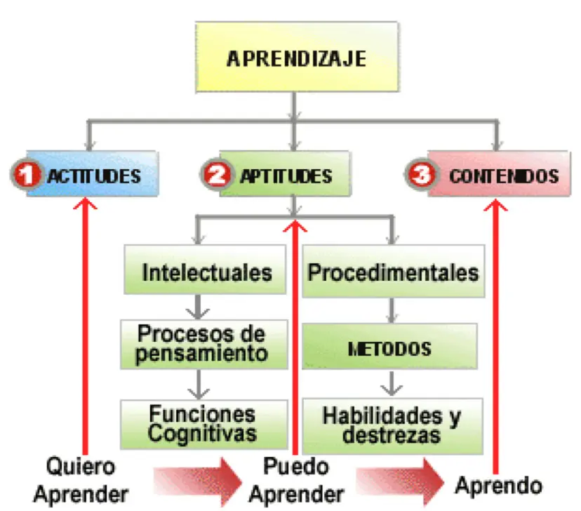 desarrollo de tutores inteligentes enseñanza - Cómo aporta un tutor en mi proceso de aprendizaje