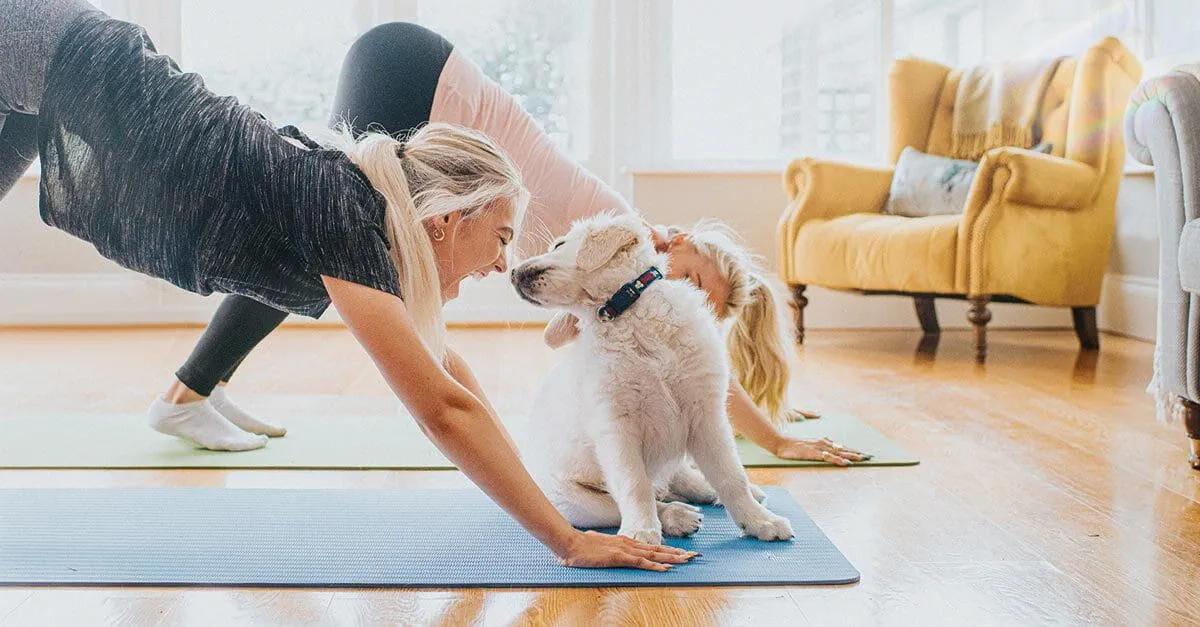 inteligencia emocional y yoga - Cómo ayuda el yoga a alguien emocionalmente