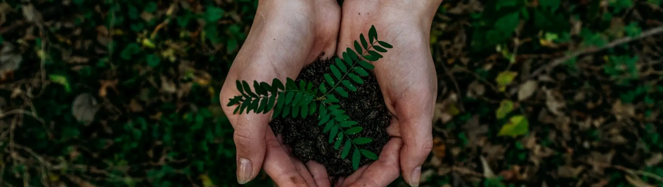 acciones inteligentes para rescatar el planeta - Cómo cuidar el medio ambiente 15 ejemplos