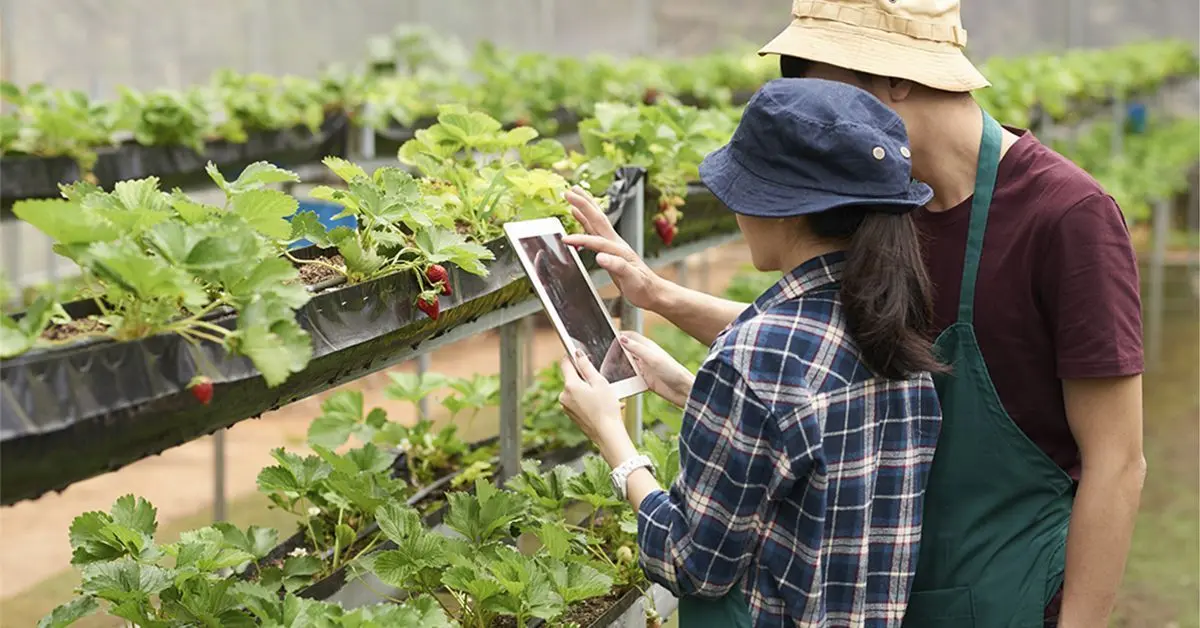 Actualmente el concepto de agricultura inteligente - Cómo es la agricultura de ahora actualmente el concepto de agricultura inteligente - Cómo es la agricultura de ahora
