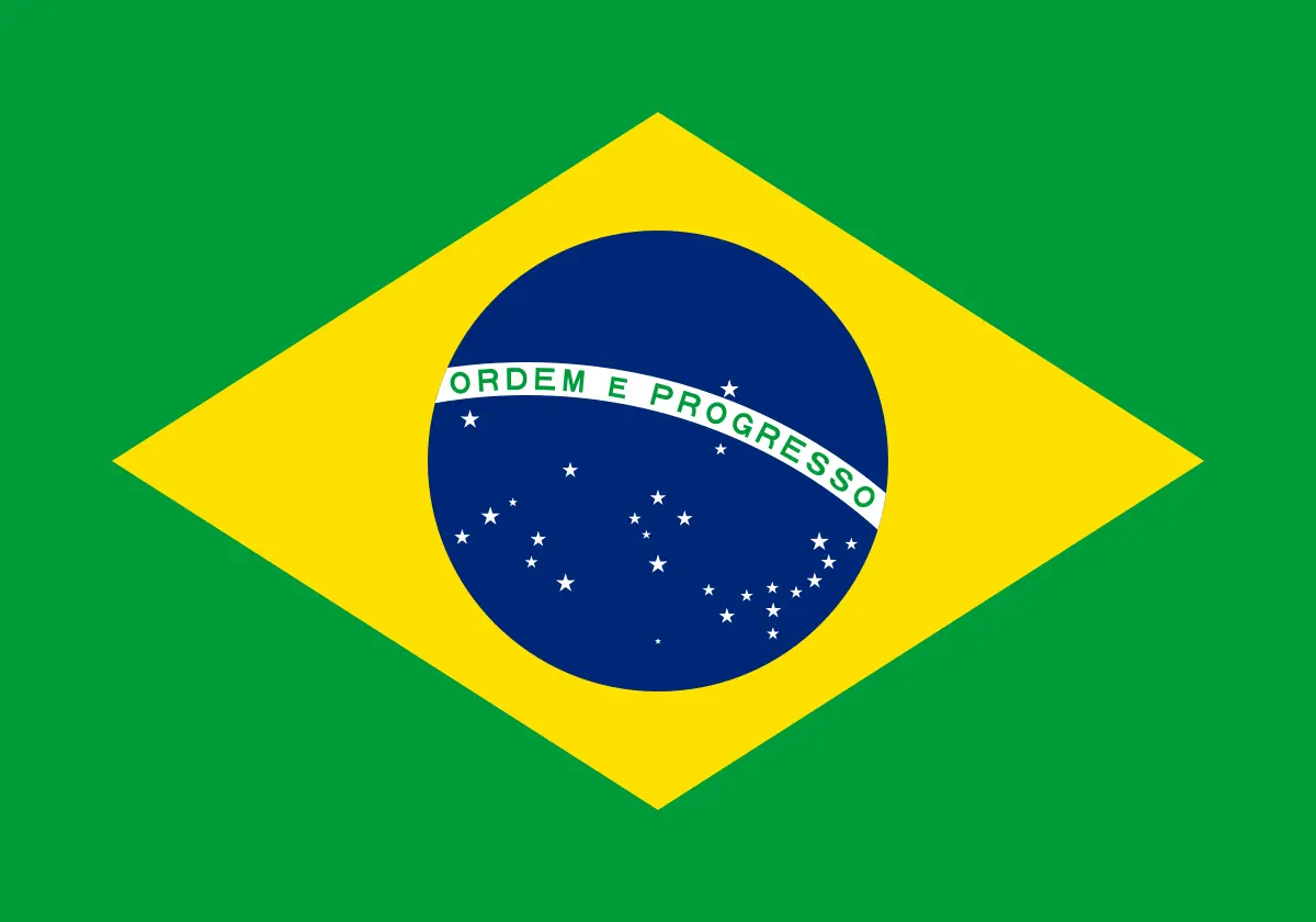 organizacion del centro de inteligencia de brasil - Cómo es la sociedad brasileña