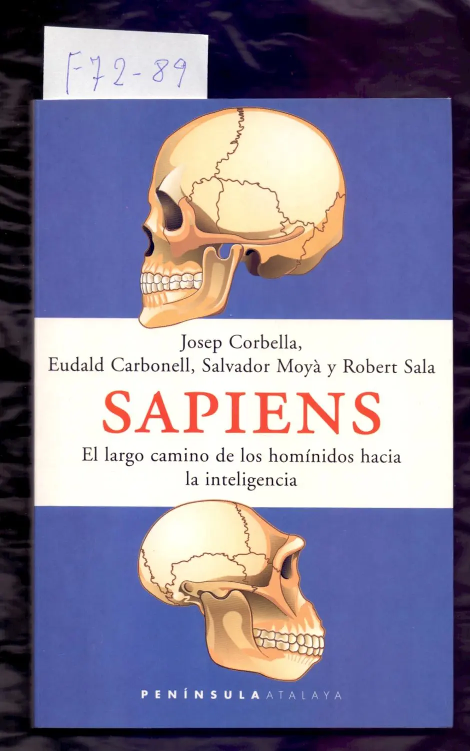 sapiens el largo camino de los homínidos hacia la inteligencia - Cómo fue la evolución de los homínidos