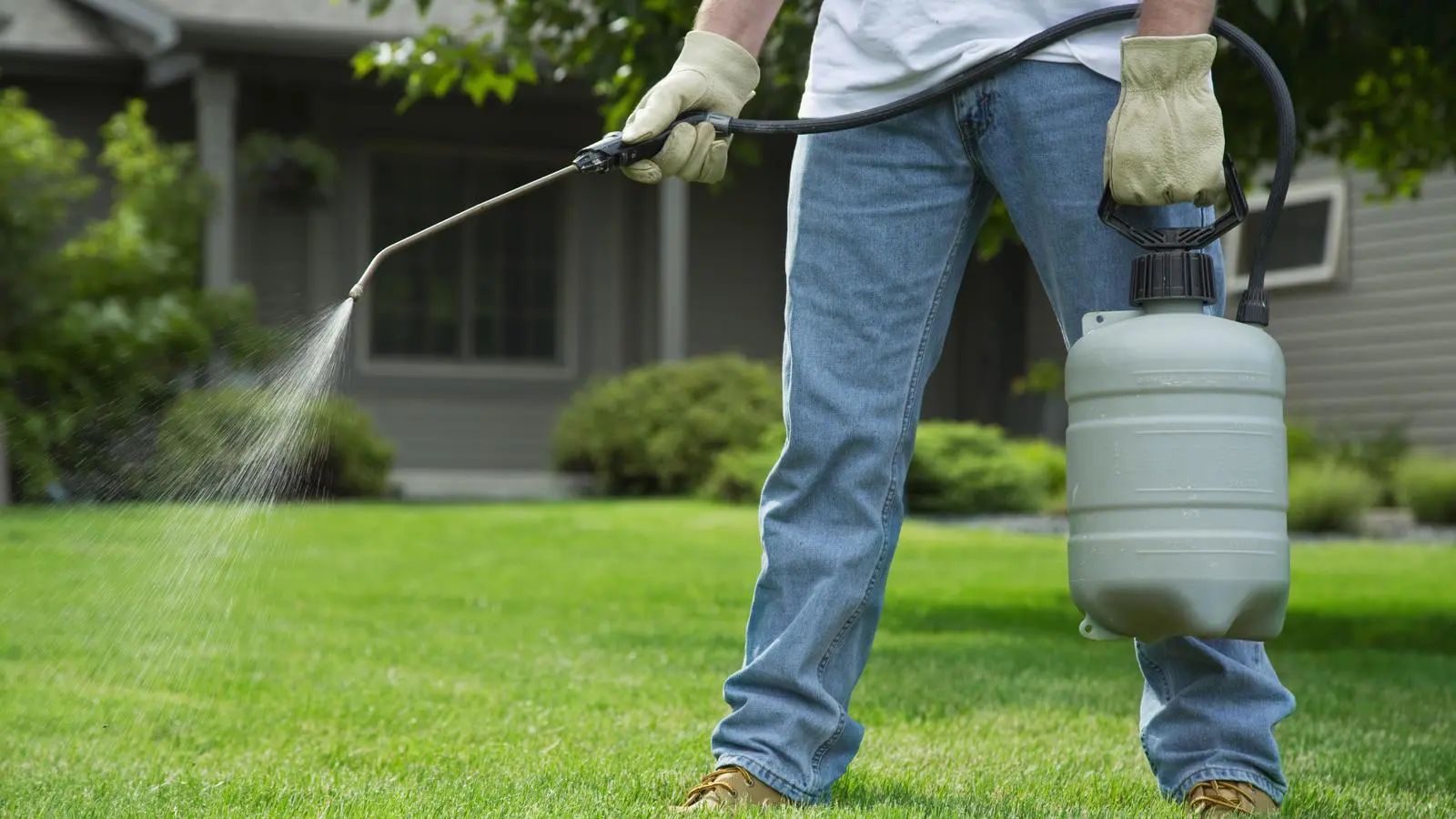 fumigaciones inteligentes - Cómo fumigar dentro de la casa