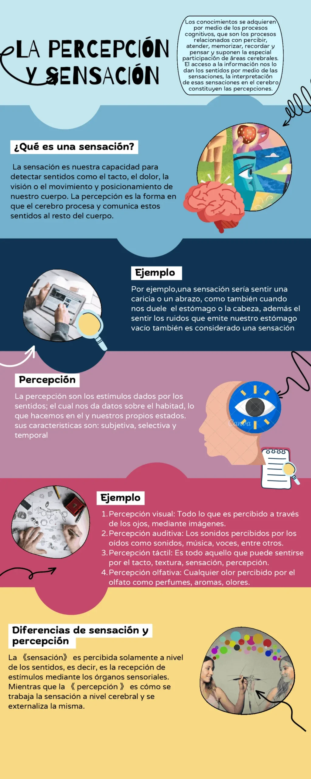 existe relacion entre la inteligencia y percepcion - Cómo funciona la percepción en el cerebro