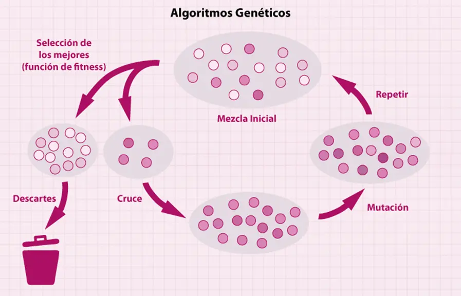 algoritmos geneticos inteligencia artificial ejemplos - Cómo funcionan los algoritmos genéticos