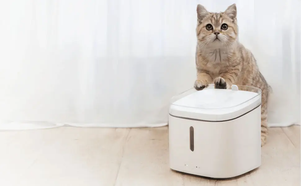 bebedero inteligente - Cómo hacer un bebedero de agua para gatos