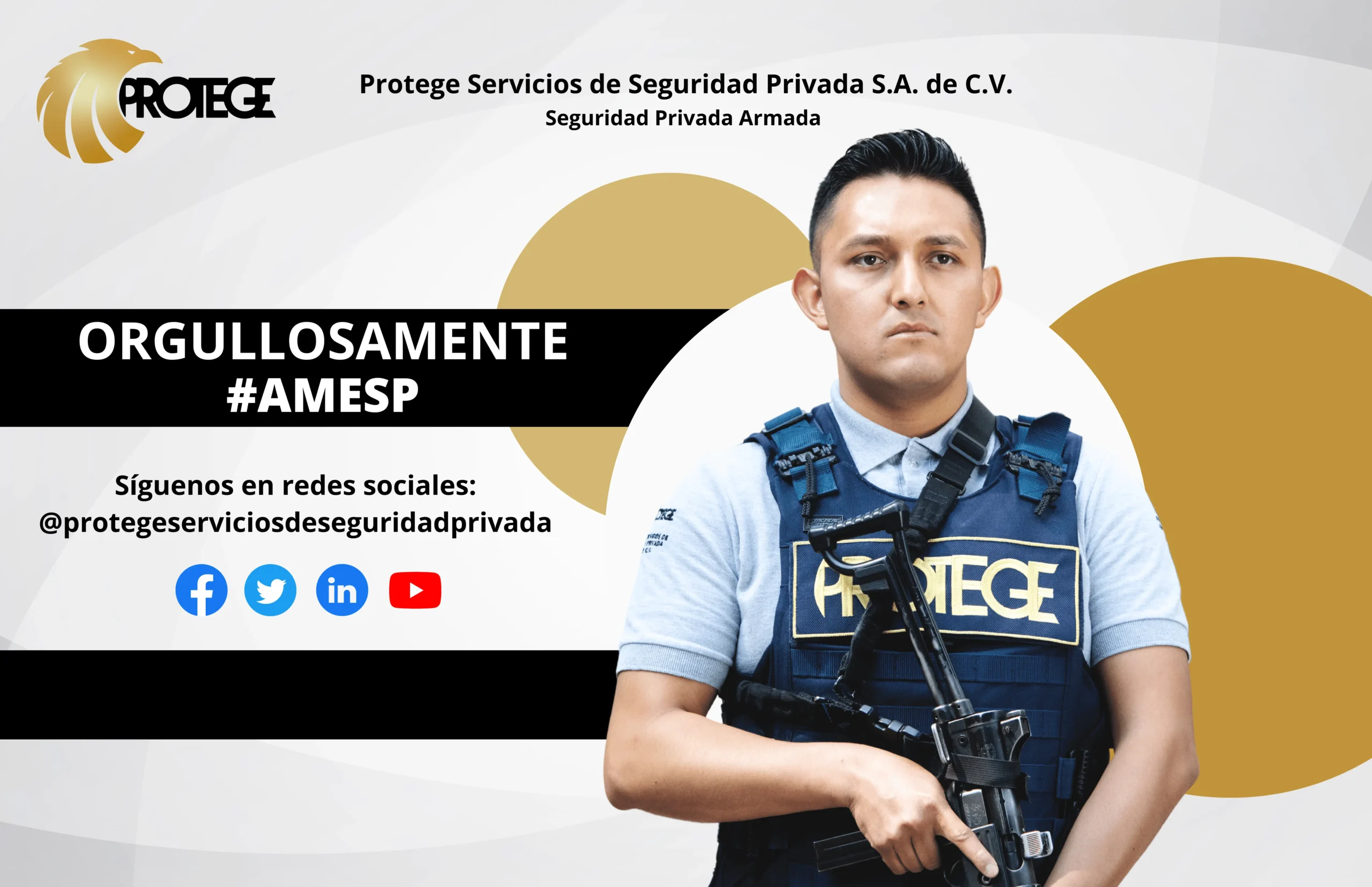 servicios profesionales inteligentes sa de cv - Cómo identificar un servicio profesional