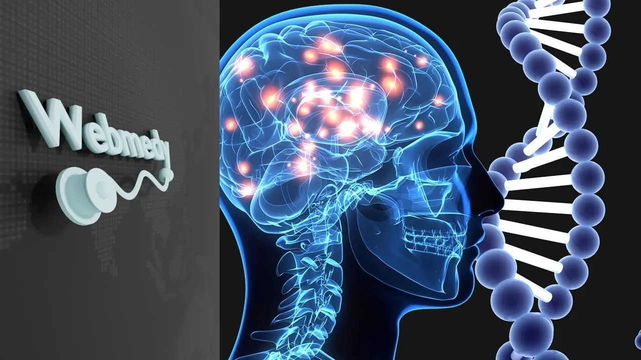 El ADN influye en la inteligencia - Cómo influye el ADN en una persona el adn infliye en la inteligencia - Cómo influye el ADN en una persona