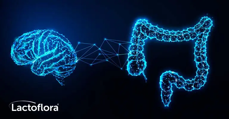 flora intestinal inteligencia - Cómo influye el microbiota intestinal en el cerebro