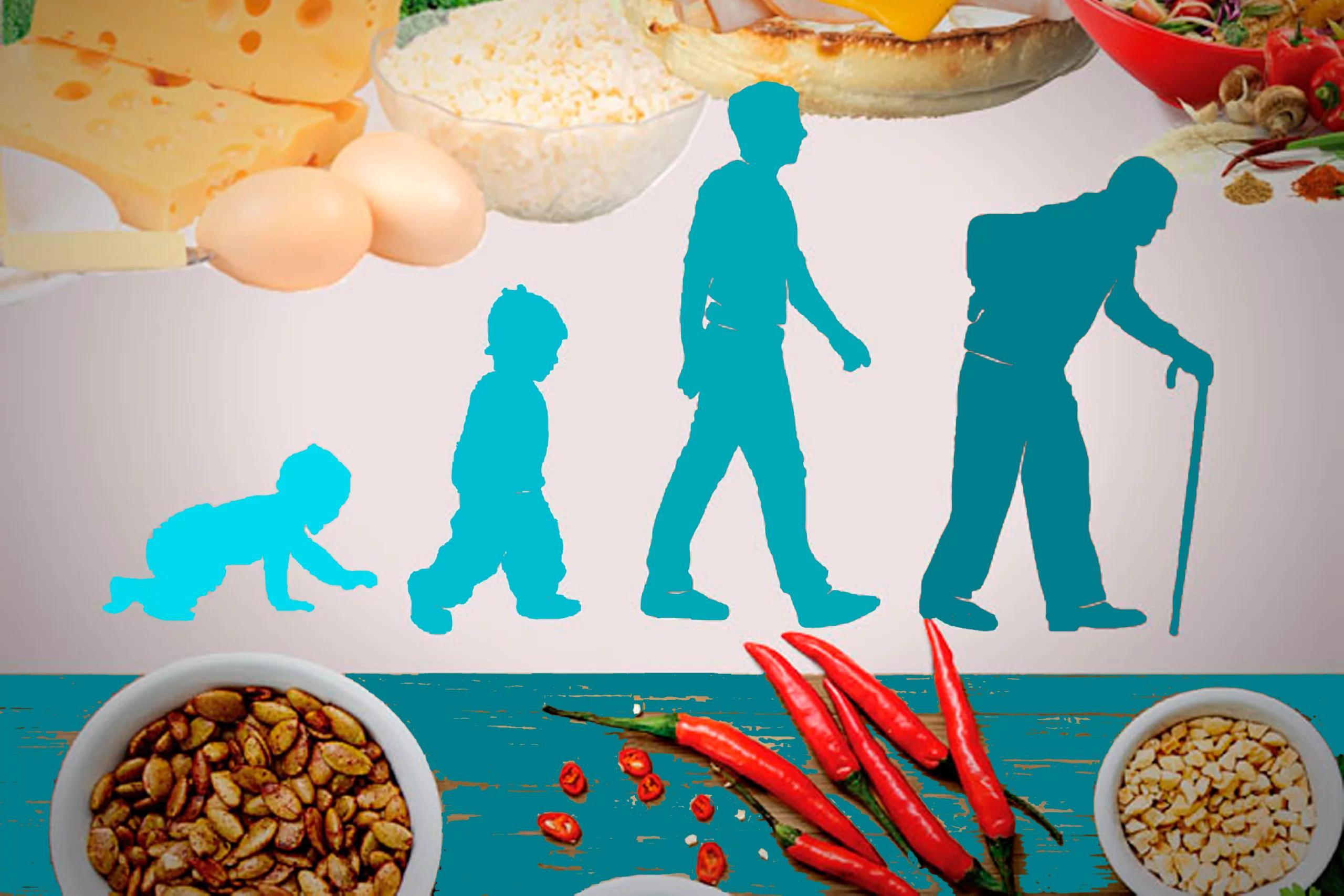 alimentacion inteligencia nivel social relacion - Cómo influye la alimentación en lo social