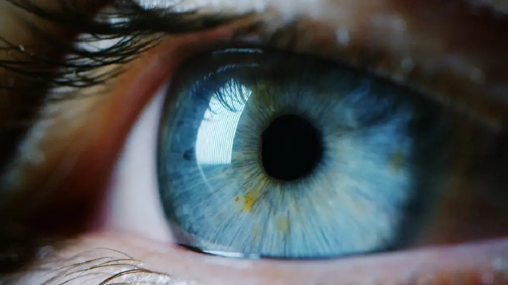Al servicio de la personalidad: la inteligencia artificial - Cómo la inteligencia artificial predice la personalidad de una persona al servicio de la personailidad la inteligencia artificial - Cómo la inteligencia artificial predice la personalidad de una persona