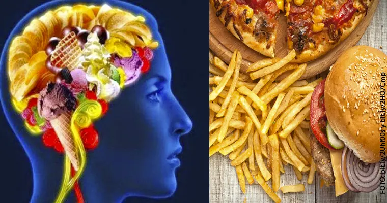 doc la mala alimentacion y sus efectos en la inteligencia - Como la mala alimentación afecta a la salud mental
