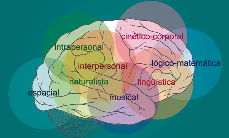 como el psicopedagogo puede trabajar con las inteligencias multiples - Como la psicopedagogía puede ayudar a fortalecer el aprendizaje en los estudiantes