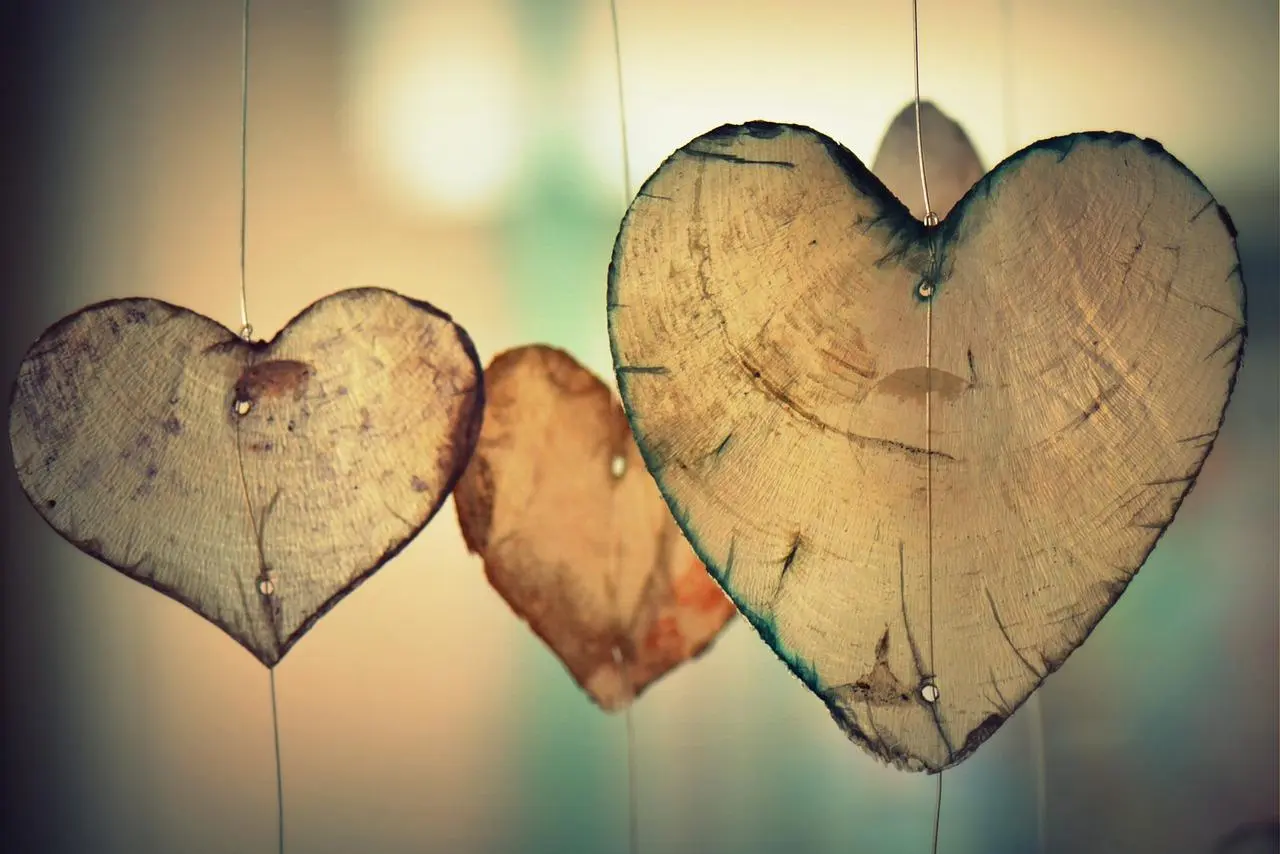 Cómo confesarte a un chico inteligente - Cómo le declaras tu amor a alguien como confesarte a un chico inteligente - Cómo le declaras tu amor a alguien