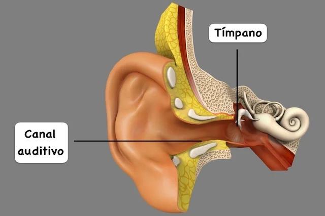 Hisopo inteligente: una solución segura para la limpieza de los oídos - Cómo limpiar el oído con un hisopo hisopo inteligente - Cómo limpiar el oído con un hisopo