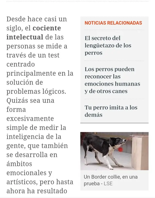 Cómo medir la inteligencia de un perro - Cómo medir inteligencia animal como medir la inteligencia de un perro - Cómo medir inteligencia animal