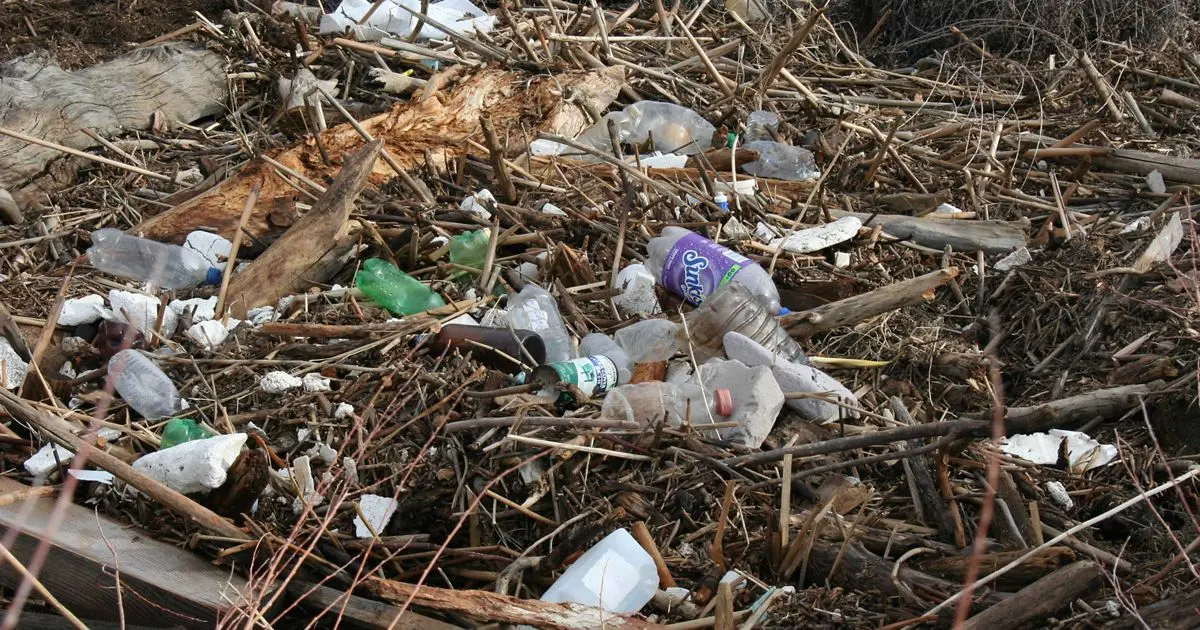 recoleccion de basura inteligente - Cómo mejorar el servicio de recoleccion de basura