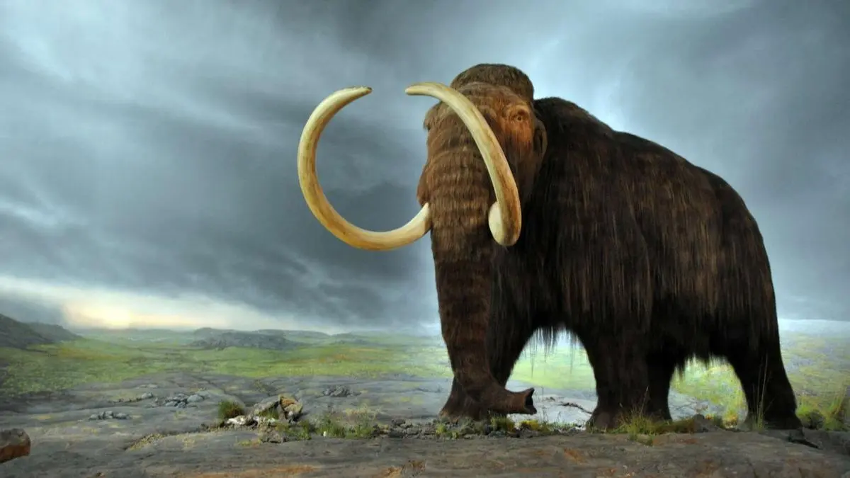el mamut es inteligente - Cómo resucitar al mamut