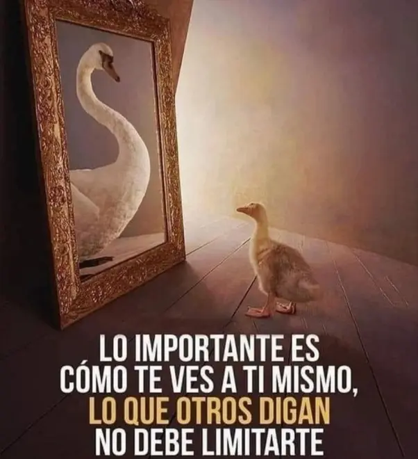 Siento que estoy perdiendo mi inteligencia y mi memoria: ¿qué está pasando? - Cómo saber si has perdido tu inteligencia siento que estoy perdiendo mi inteligencia y mi memoria - Cómo saber si has perdido tu inteligencia