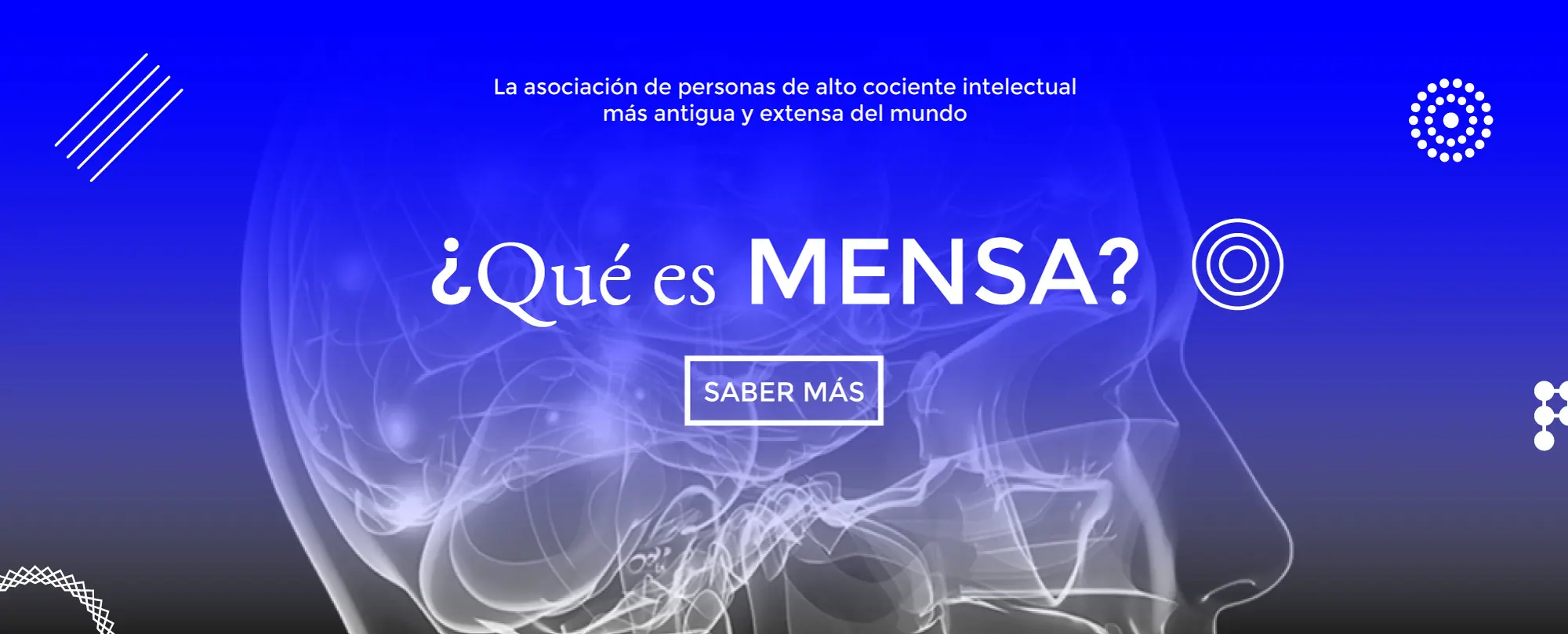 academia de muy alta inteligencia asociacion - Cómo saber si soy mensa