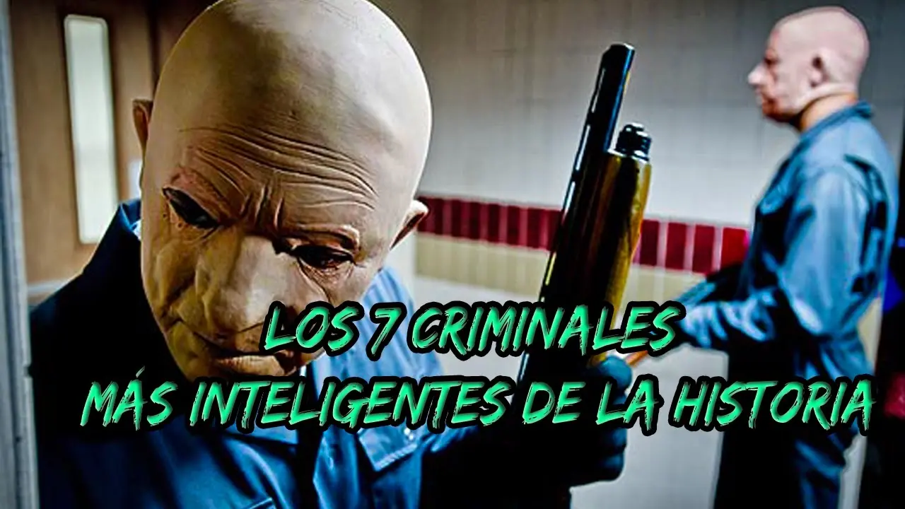 delincuente inteligente - Cómo se clasifican los delincuentes