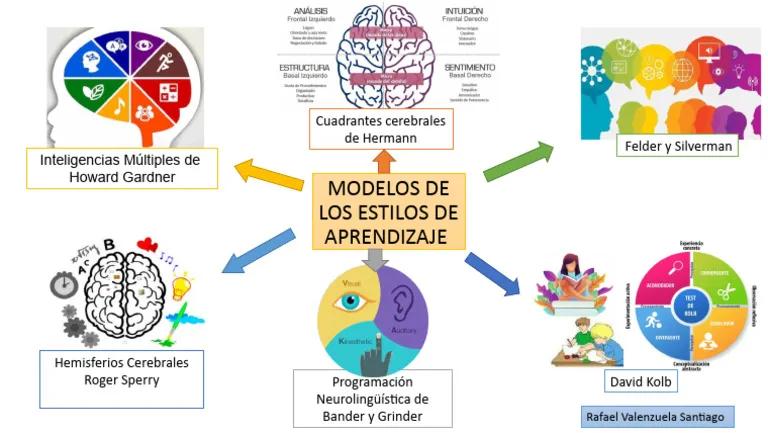 estilos de aprendizaje hermann kolb neurolinguistica inteligencias multiples - Cómo se complementan las inteligencias múltiples y los estilos de aprendizaje