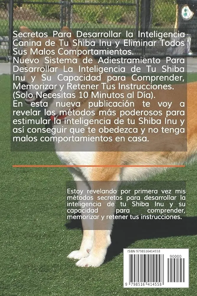 shiba inu inteligencia - Cómo se comportan los Shiba Inu