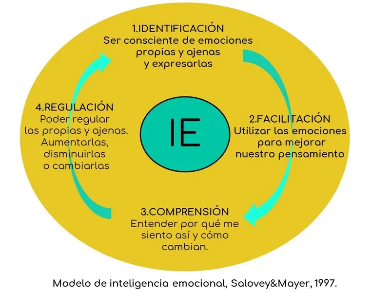 comprension inteligencia emocional - Cómo se comprenden las emociones