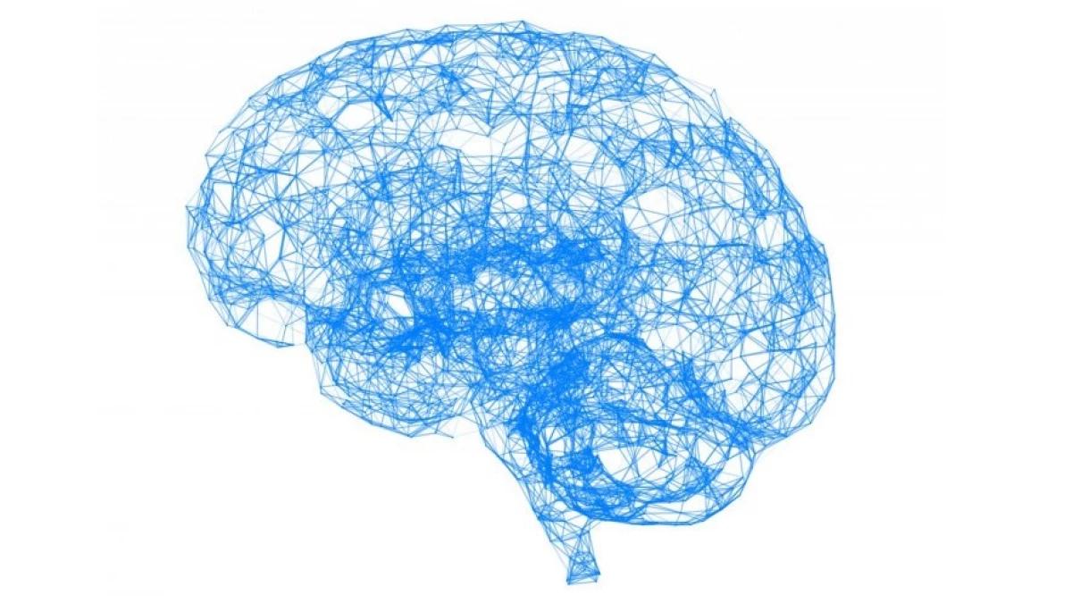 cattell inteligencia emocional - Cómo se desarrolla la personalidad según Cattell