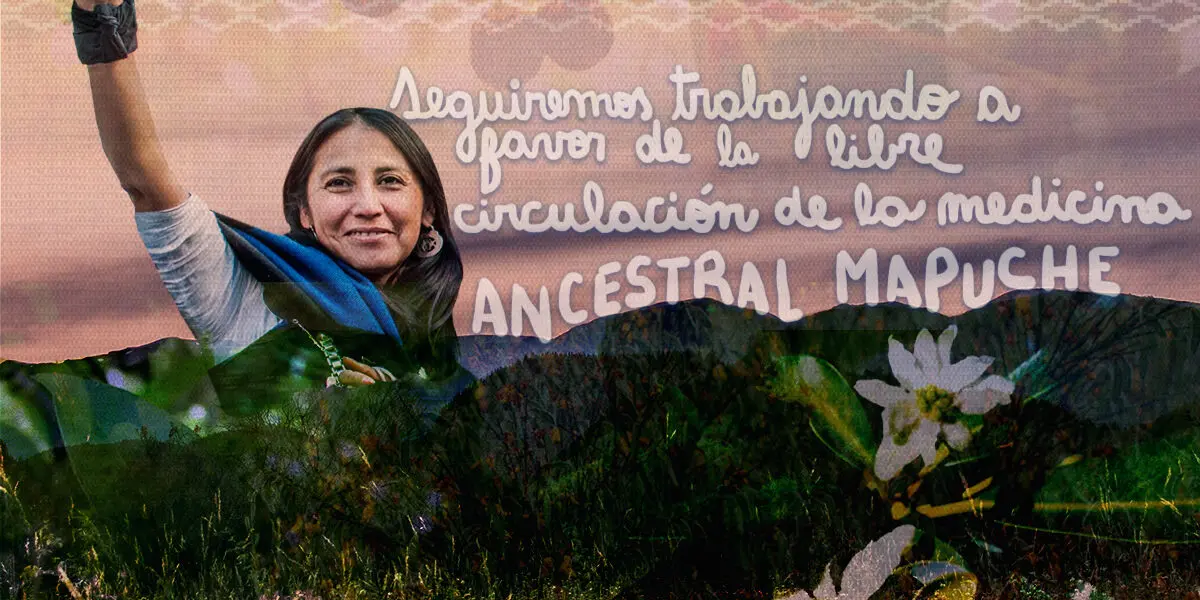 como se dice mujer inteligente en mapuche - Cómo se dice mujer en mapuche