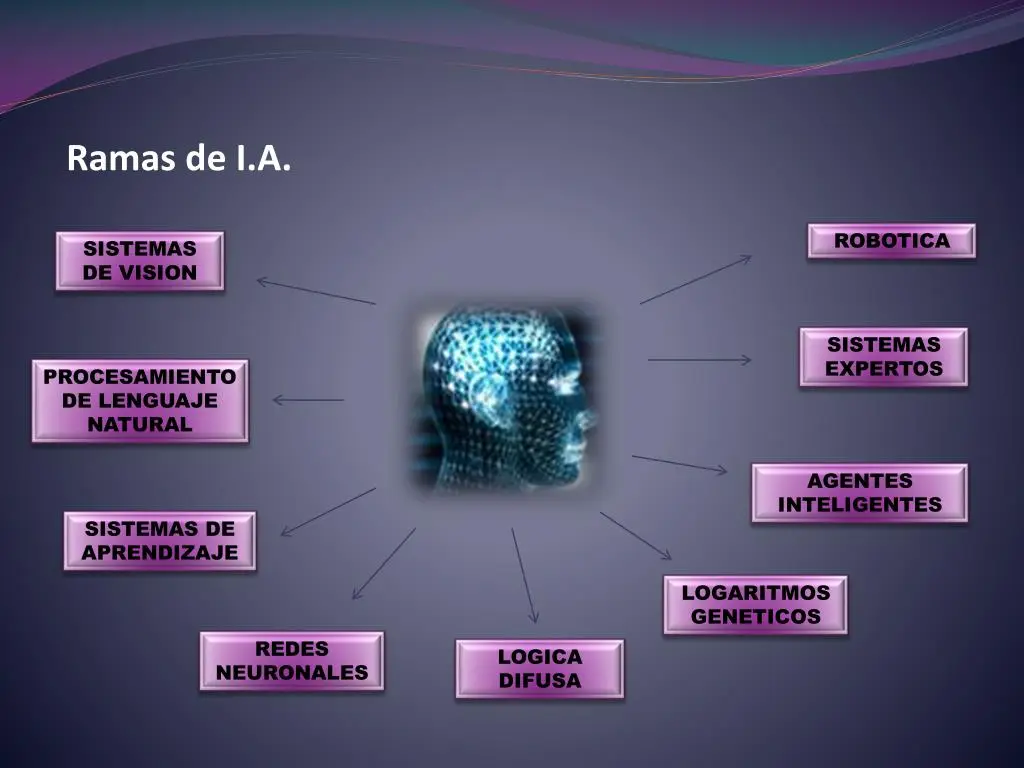la inteligencia divide las ramas - Cómo se divide la inteligencia