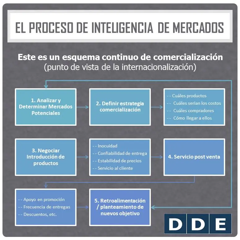 que es un sistema inteligente de mercadotecnia - Cómo se integra un sistema de inteligencia de mercado