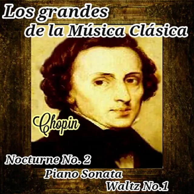 chopin inteligencia sonata - Cómo se llaman las canciones de Chopin