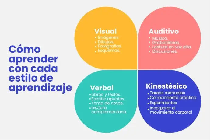 estilos de aprendizaje test excel aprendizaje inteligente - Cómo se miden los estilos de aprendizaje