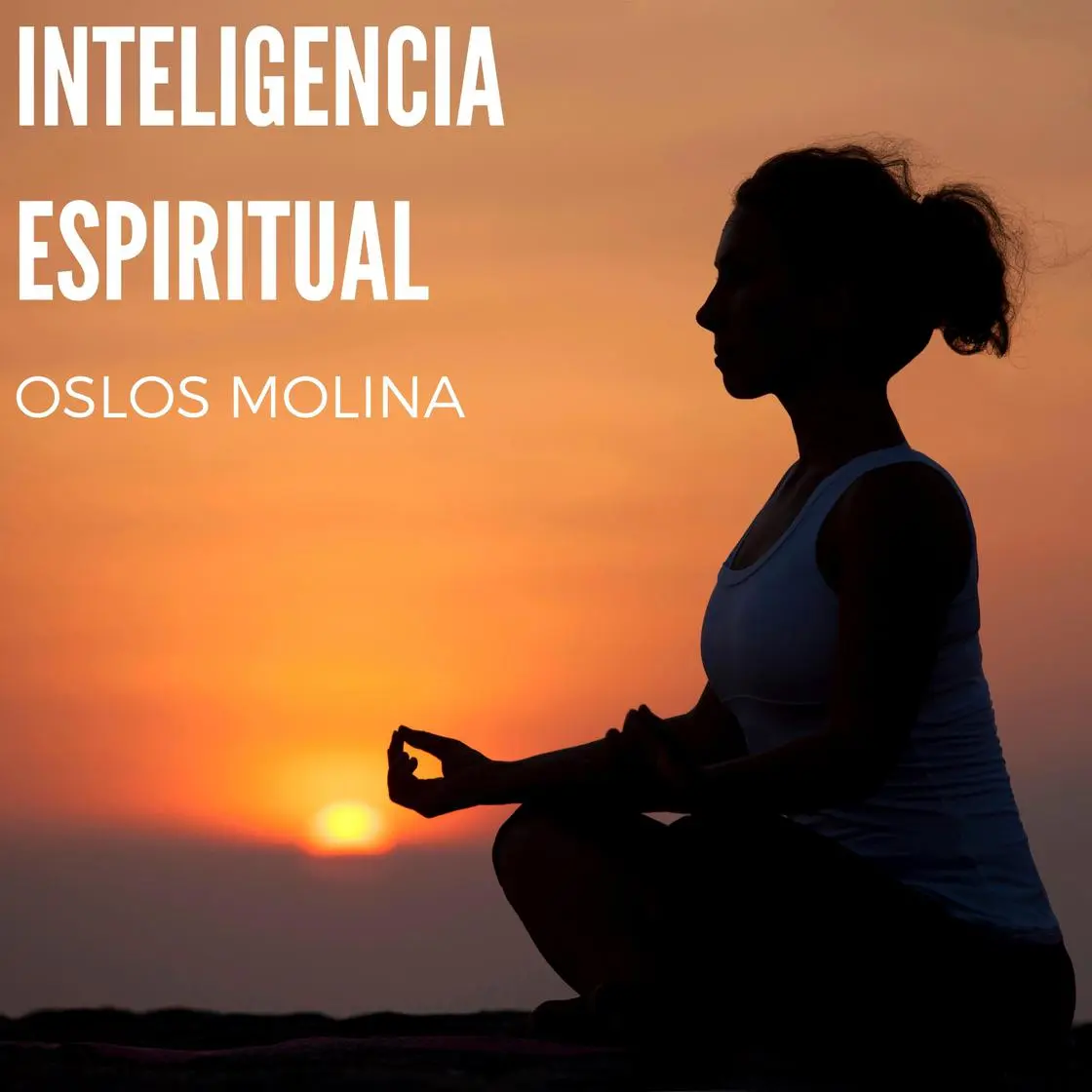 inteligencia espiritual - Cómo se obtiene la inteligencia espiritual