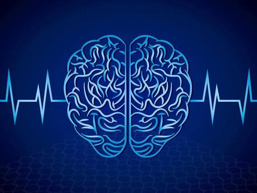 inteligencia emocional gratis - Cómo se puede aprender a manejar las emociones