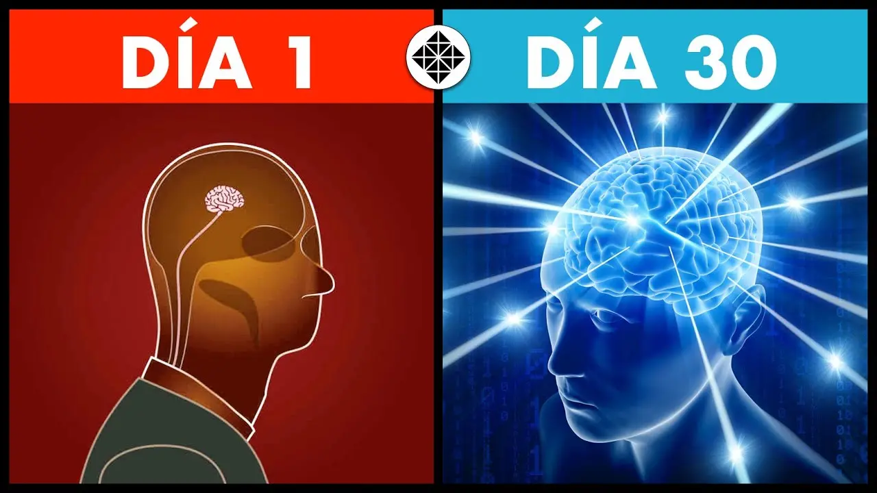como ser inteligente en el colegio - Cómo ser inteligente y sacar buenas notas