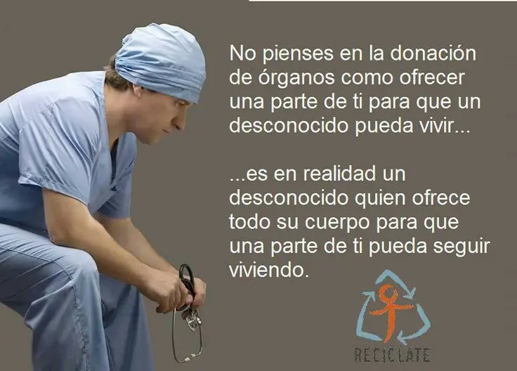 Frases inteligentes donantes de hígado - Cómo sobrevive el donante de hígado frases inteligentes donantes de hogado - Cómo sobrevive el donante de hígado