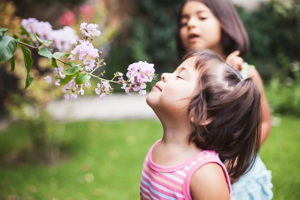 chicos sensibles creativos e inteligentes - Cómo son los niños altamente sensibles