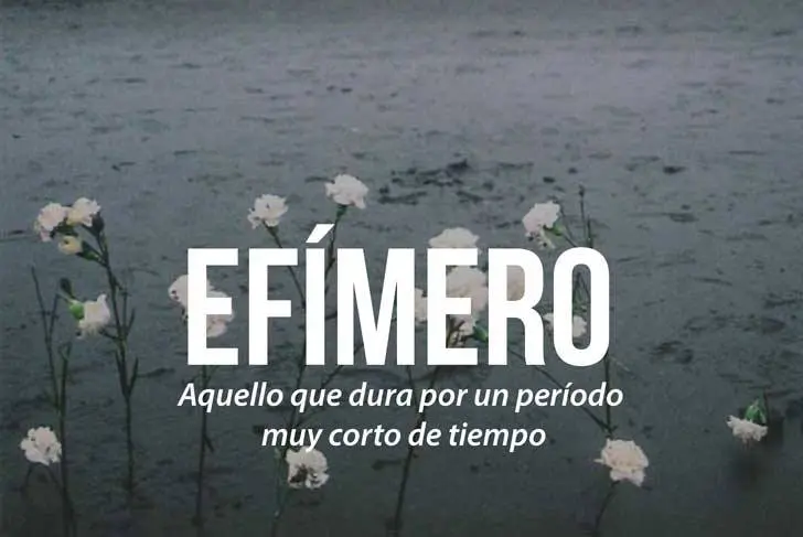 palabras inteligentes para usar - Cómo tener un vocabulario fluido