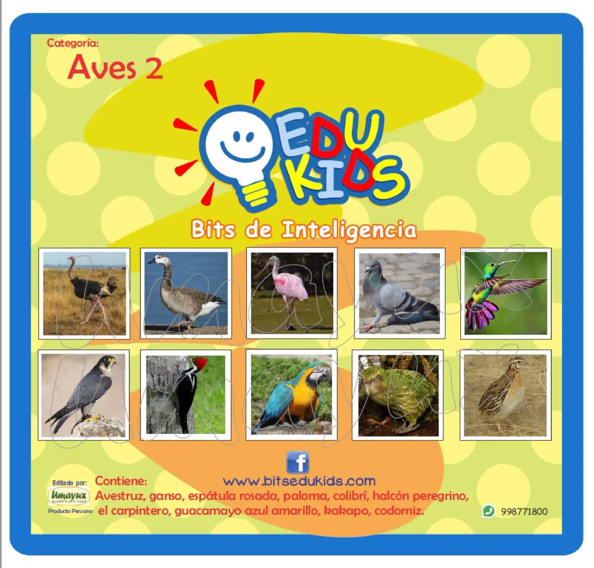 Bits de inteligencia aves - Cuál es el ave más resistente bits de inteligencia aves - Cuál es el ave más resistente