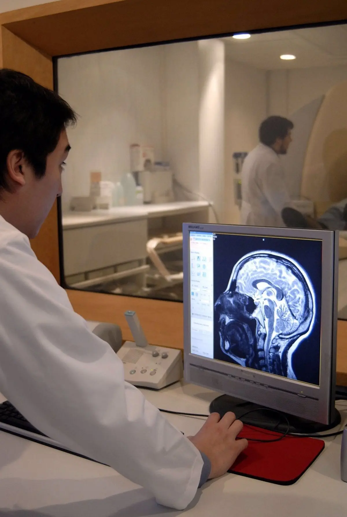 En qué parte del cerebro está la inteligencia - Cuál es el centro de la inteligencia en que parte del cerebro esta la inteligencia - Cuál es el centro de la inteligencia