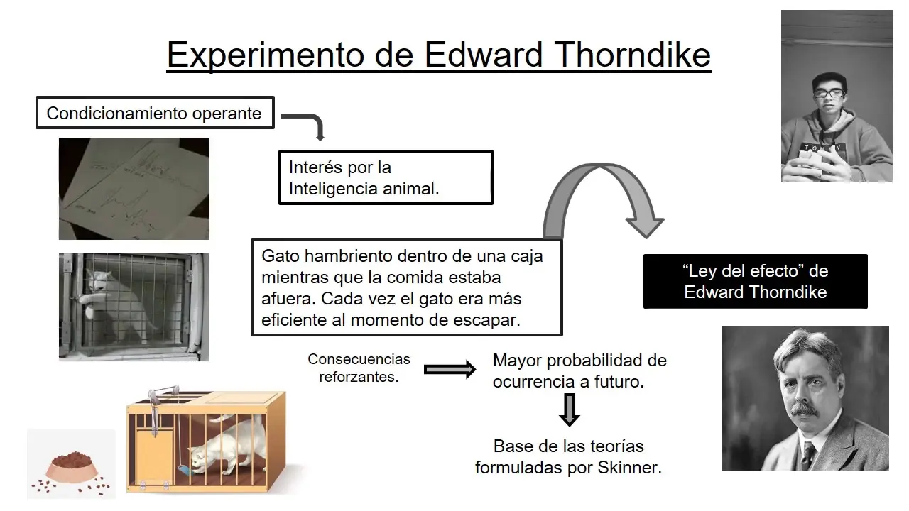 teoria de la inteligencia de thorndike - Cuál es el objeto de estudio de Thorndike