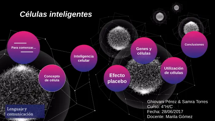 La célula es un organismo inteligente - Cuál es el organismo unicelular más inteligente la célula es un organismo inteligente - Cuál es el organismo unicelular más inteligente