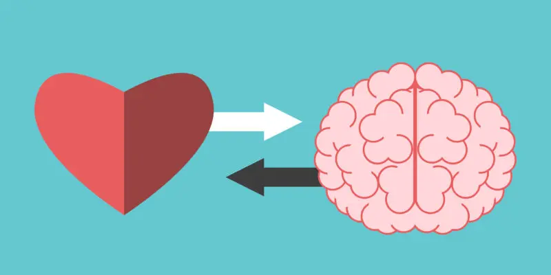 Etimología de la inteligencia emocional - Cuál es el origen de la inteligencia emocional etimologia de inteligencia emocional - Cuál es el origen de la inteligencia emocional