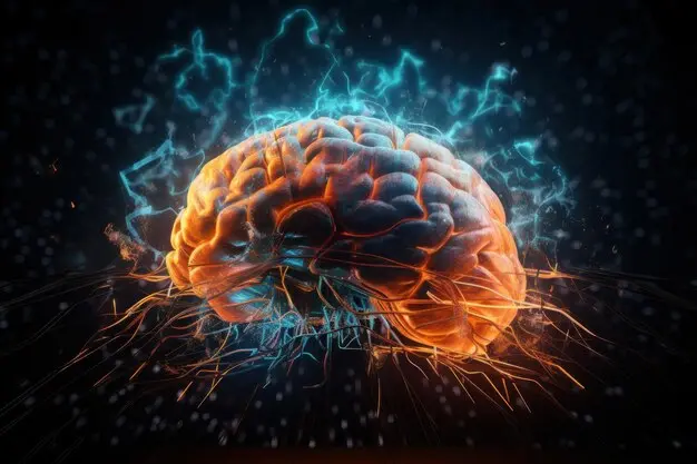 cerebro energia inteligencia - Cuál es el principal combustible del cerebro